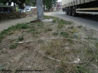 Imagine atasata: Extindere troleibuz Calea Lipovei - 2015.06.10 - 15.jpg